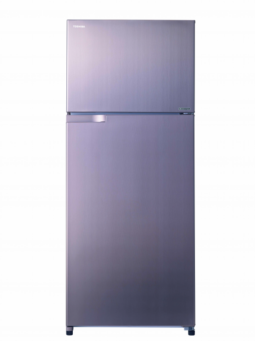 Холодильник Toshiba GR-RT655RS(N)